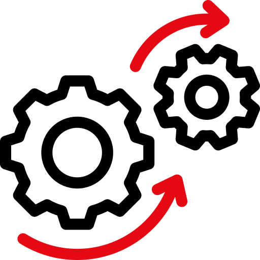 WordPress & Shopify