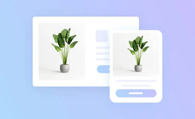 shopify theme