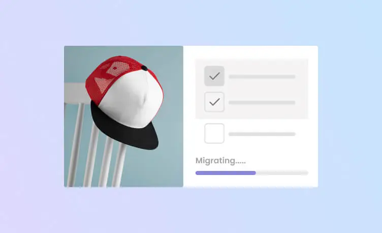 shopify theme